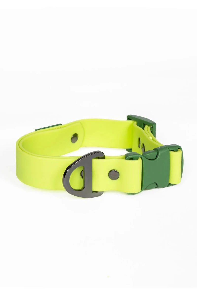 Mossy Pine Waterproof Dog Collar, Chartreuse / Willow Green/20 - 26, view 5