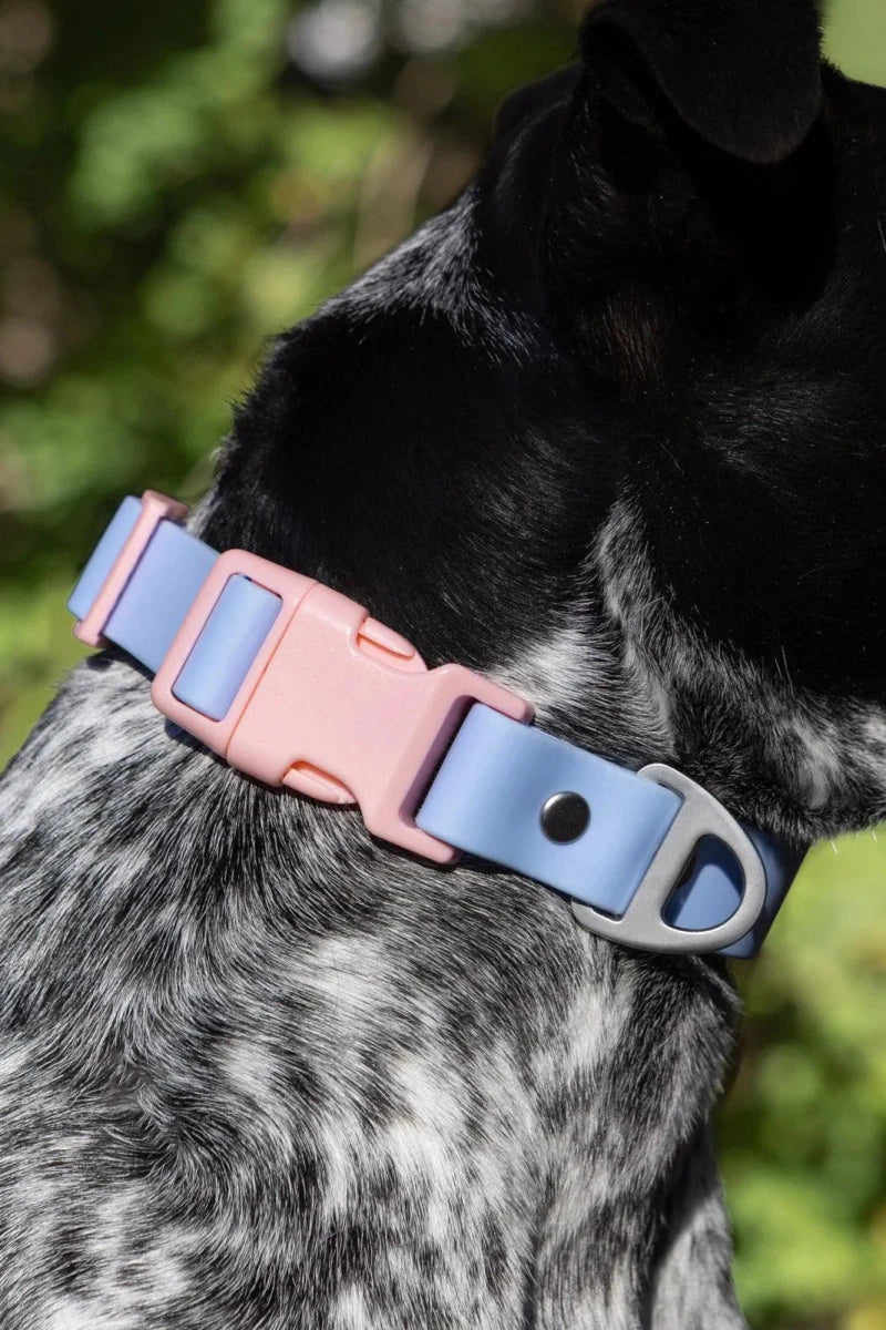 Blue Sky Orchid Waterproof Dog Collar, Periwinkle / Light Pink/13 - 15, view 2