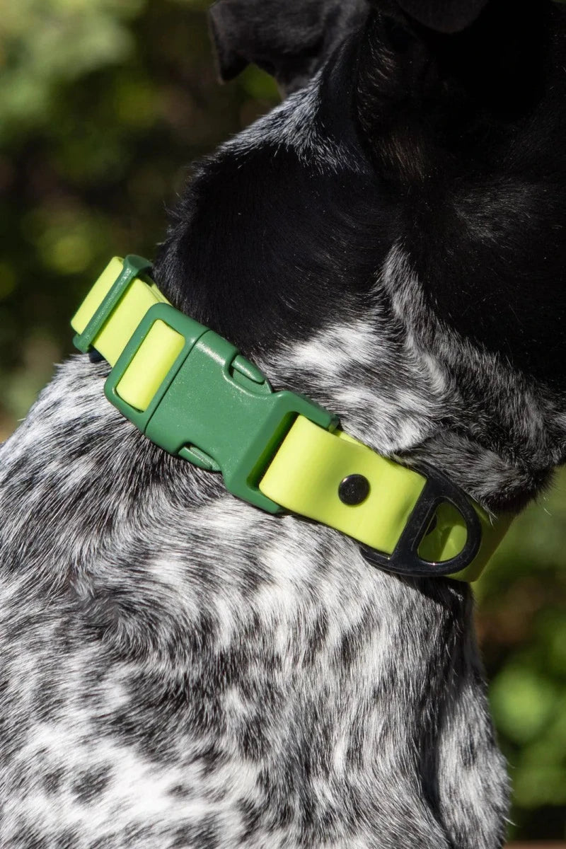 Mossy Pine Waterproof Dog Collar, Chartreuse / Willow Green/15 - 17, view 3