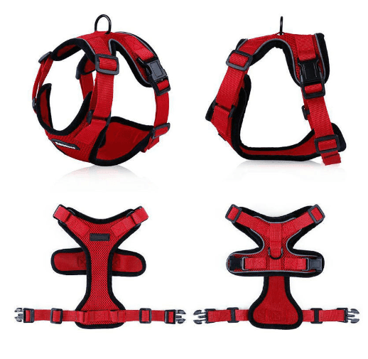 Escapeguard Cat Vest Harness And Car Seat Belt Adapter - Adjustable, Reflective, And Escape - Proof Harness For Cats And Small Dogs - Pets Perfect