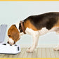 Smartpaws Automatic Moisture-Proof Pet Feeder