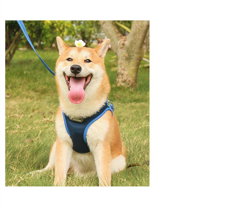 Pet Adventure Chest Harness And Leash Combo - Pets Perfect
