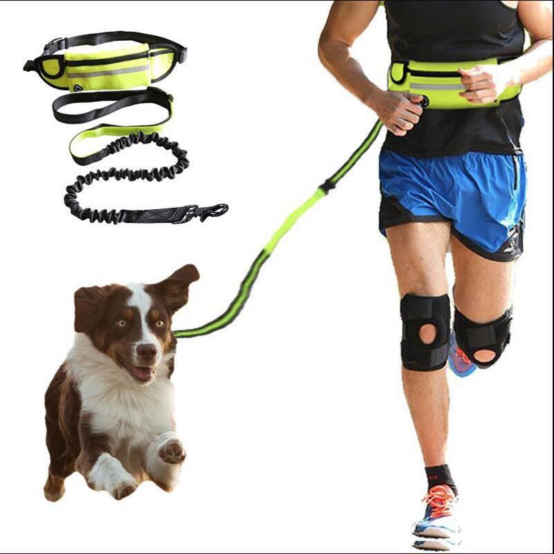 Ultimate Hands - Free Dog Leash Belt With Bungee Leash, Phone Pocket, And Water Bottle Holder - Pets Perfect
