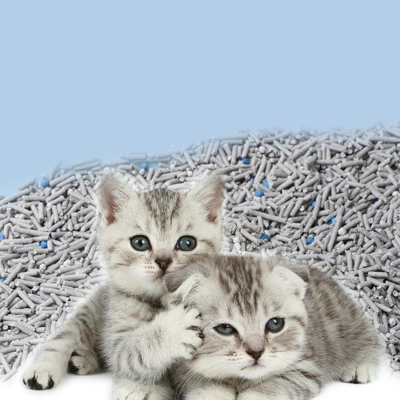 6L Activated Charcoal Tofu Litter With Natural Deodorizing Power - Pets Perfect