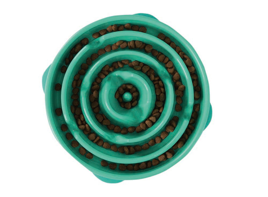 Outward Hound Fun Feeder Slo Dog Bowl Turquoise 1ea/LG