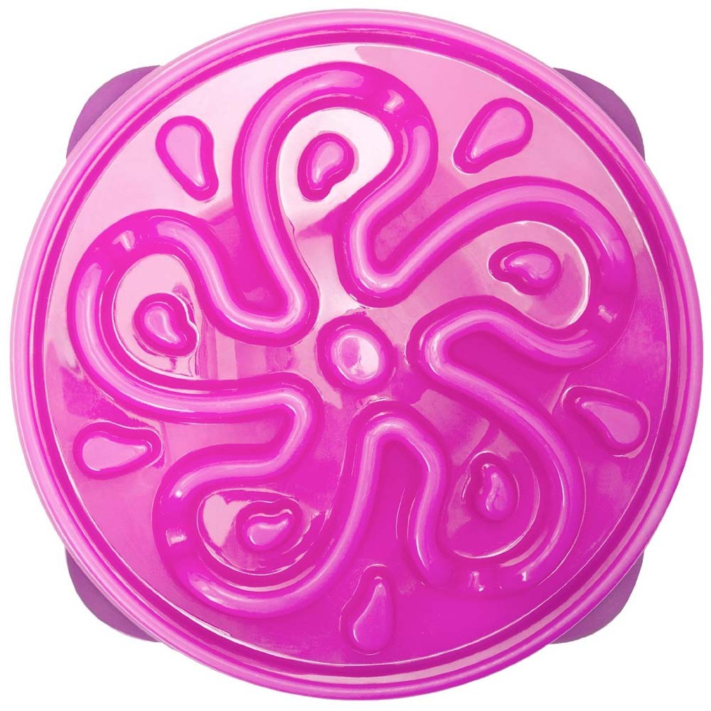 Outward Hound Fun Feeder Slo-Dog Bowl, Purple Large