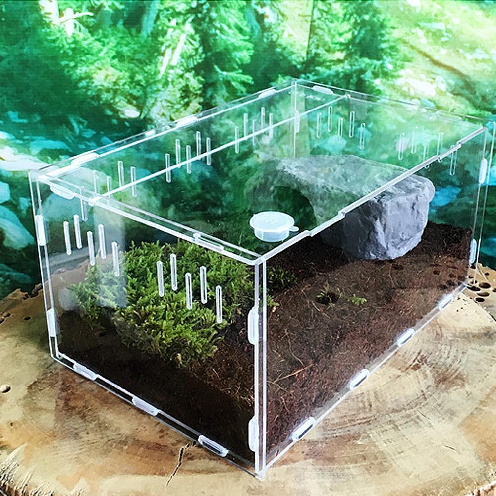 Reptile Haven: Crystal Clear Breeding Box For Your Beloved Pets - Pets Perfect