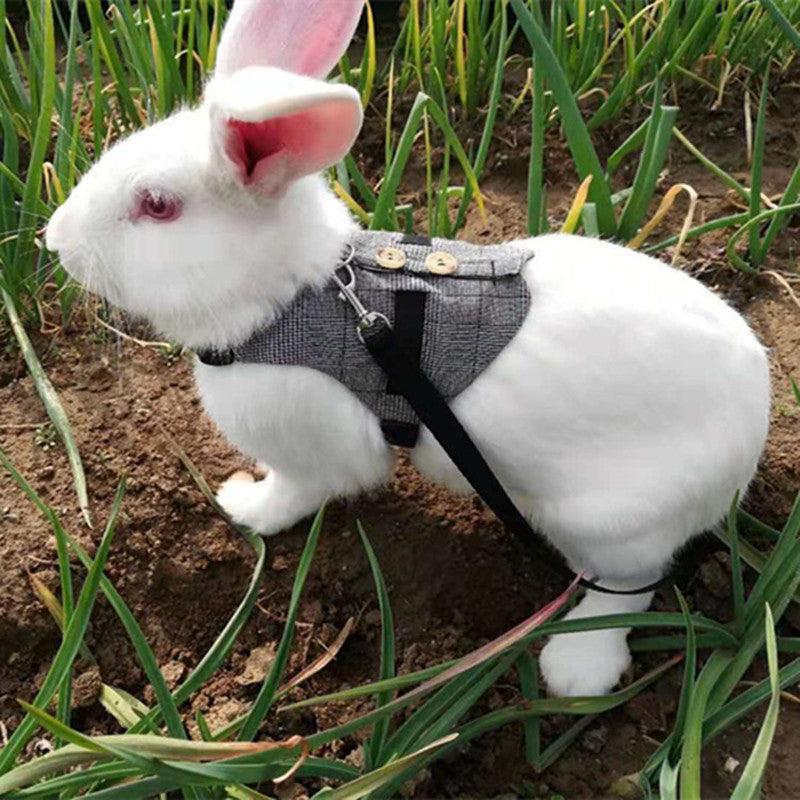 Rabbit Harness & Leash Chest Strap for Safe Walks - Pets Perfect