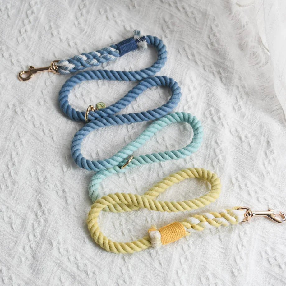 Hands-Free Dog Rope Dog Leash - Dawn, view 2
