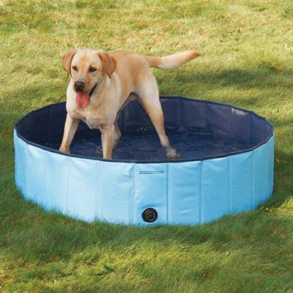 Cool Pup Splash About Dog Pool, view 4