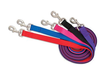Aspen Core Nylon Dog Leash Royal Blue 5/8 in x 5 ft, Medium