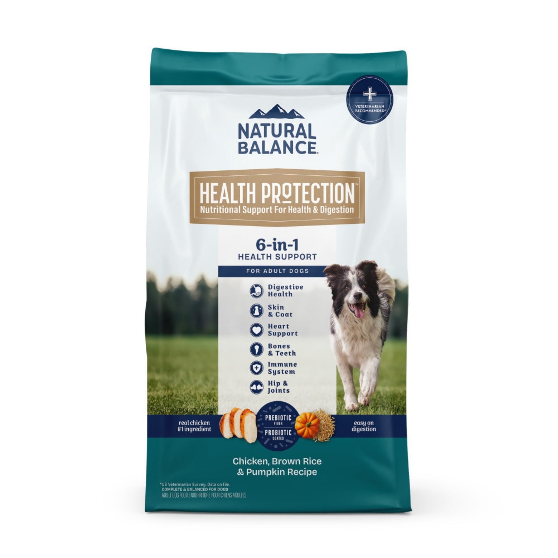 Natural Balance Pet Foods Health Protection Dry Dog Food Chicken, 4 lb, view 2