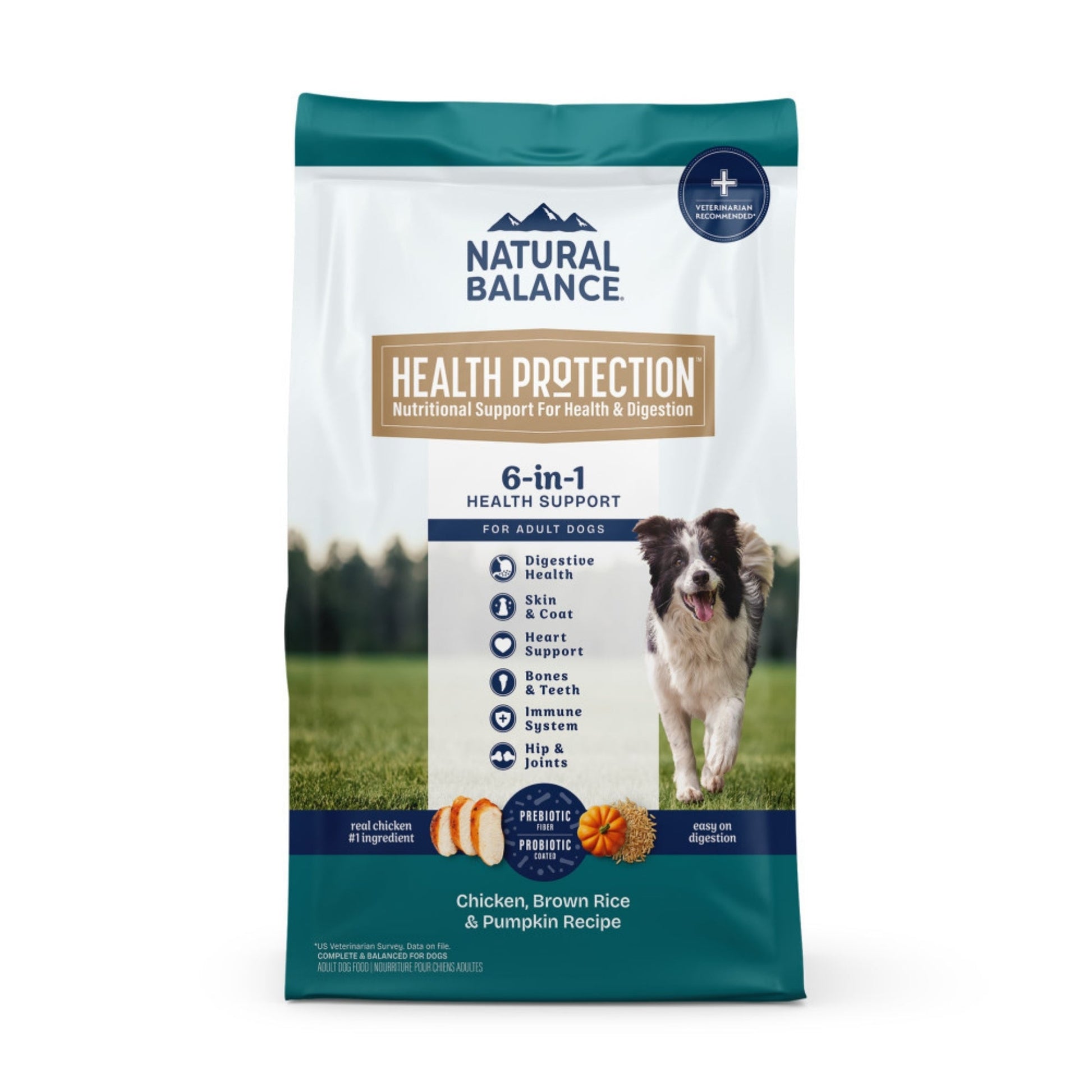 Natural Balance Pet Foods Health Protection Dry Dog Food Chicken