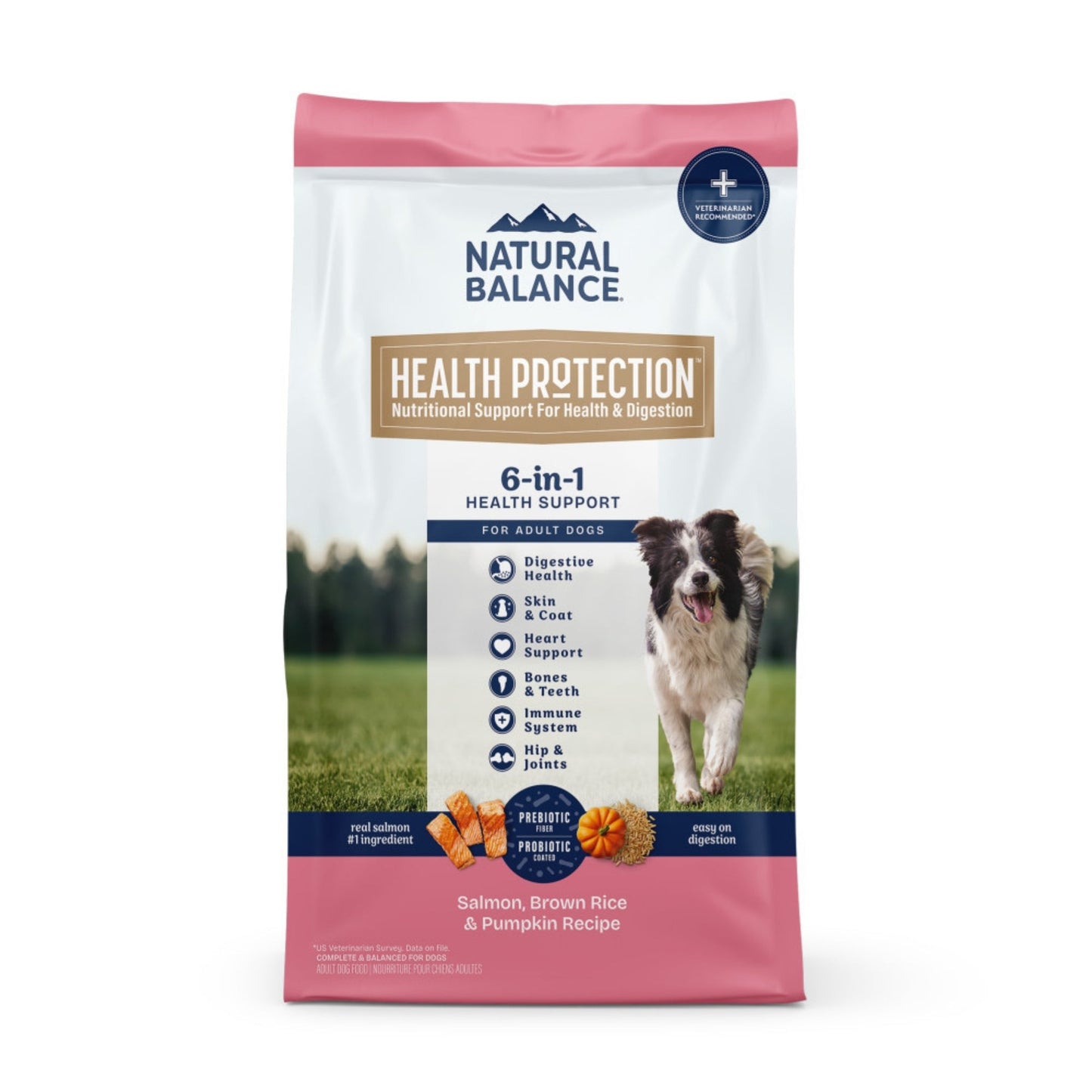 Natural Balance Pet Foods Health Protection Dry Dog Food Salmon, 4 lb, view 2