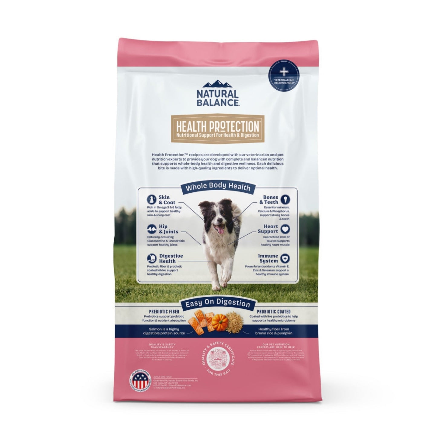 Natural Balance Pet Foods Health Protection Dry Dog Food Salmon, 22 lb, view 2