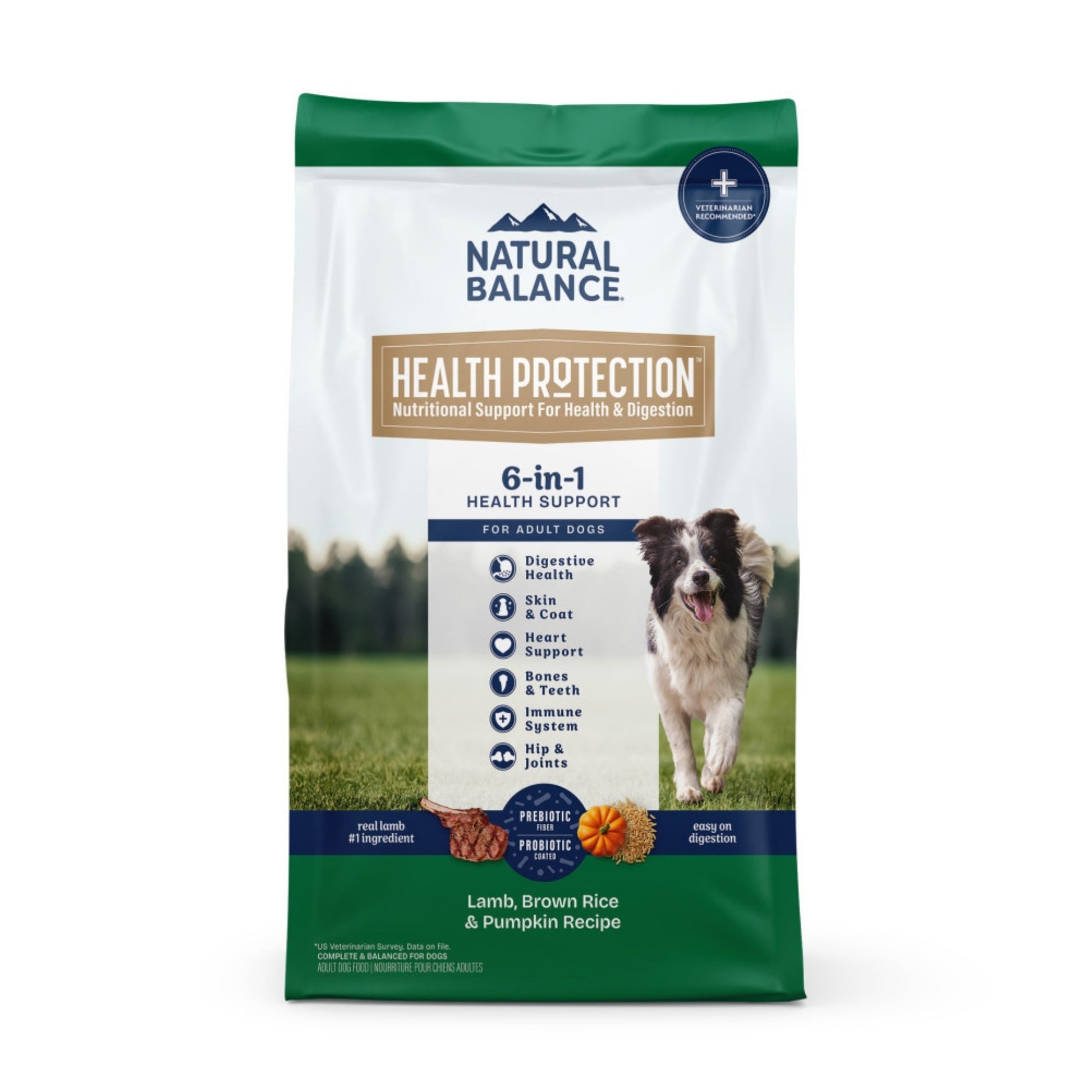 Natural Balance Pet Foods Health Protection Dry Dog Food Lamb, 4 lb