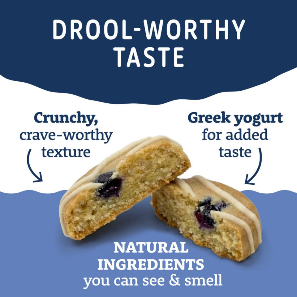 Natural Balance Pet Foods Yo-Gut Bites Dog Treats Oats & Blueberries, 1ea/4.5oz.