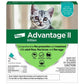 Advantage II Kitten Turquoise 2 - Pack - Pets Perfect
