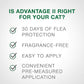 Advantage II Small Cat Single Dose Orange - Pets Perfect