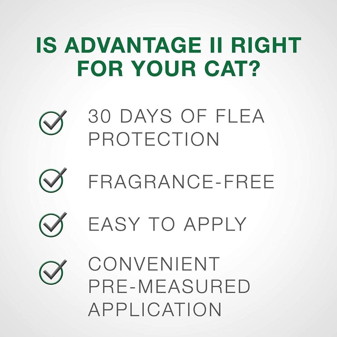 Advantage II Small Cat Single Dose Orange - Pets Perfect