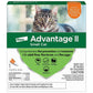 Advantage II Small Cat Single Dose Orange - Pets Perfect