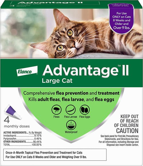 Advantage II Cat Large Purple 4 - Pack - Pets Perfect