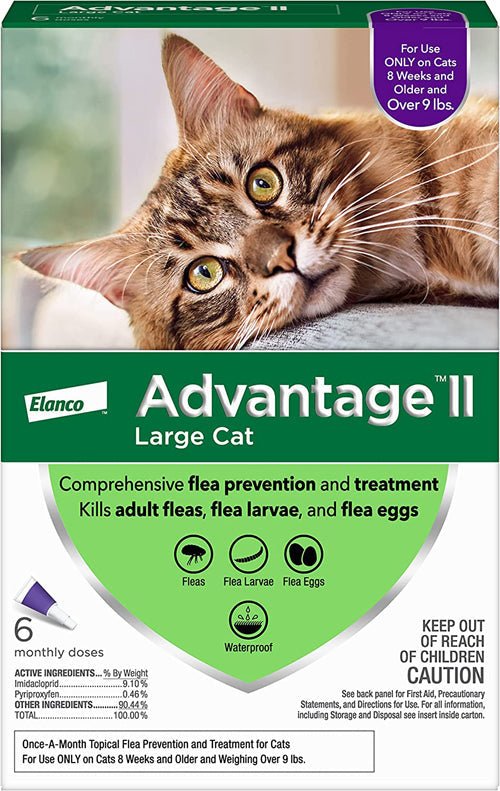 Advantage II Cat Large Purple 6 - Pack - Pets Perfect