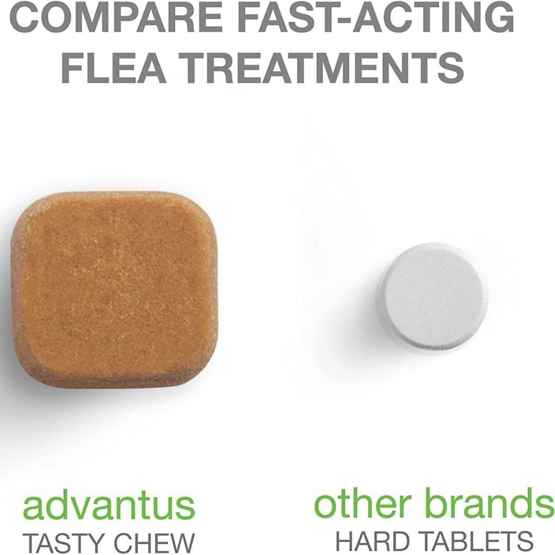 Advantus Dog Large 37.5Mg Soft Chew 30Ct - Pets Perfect