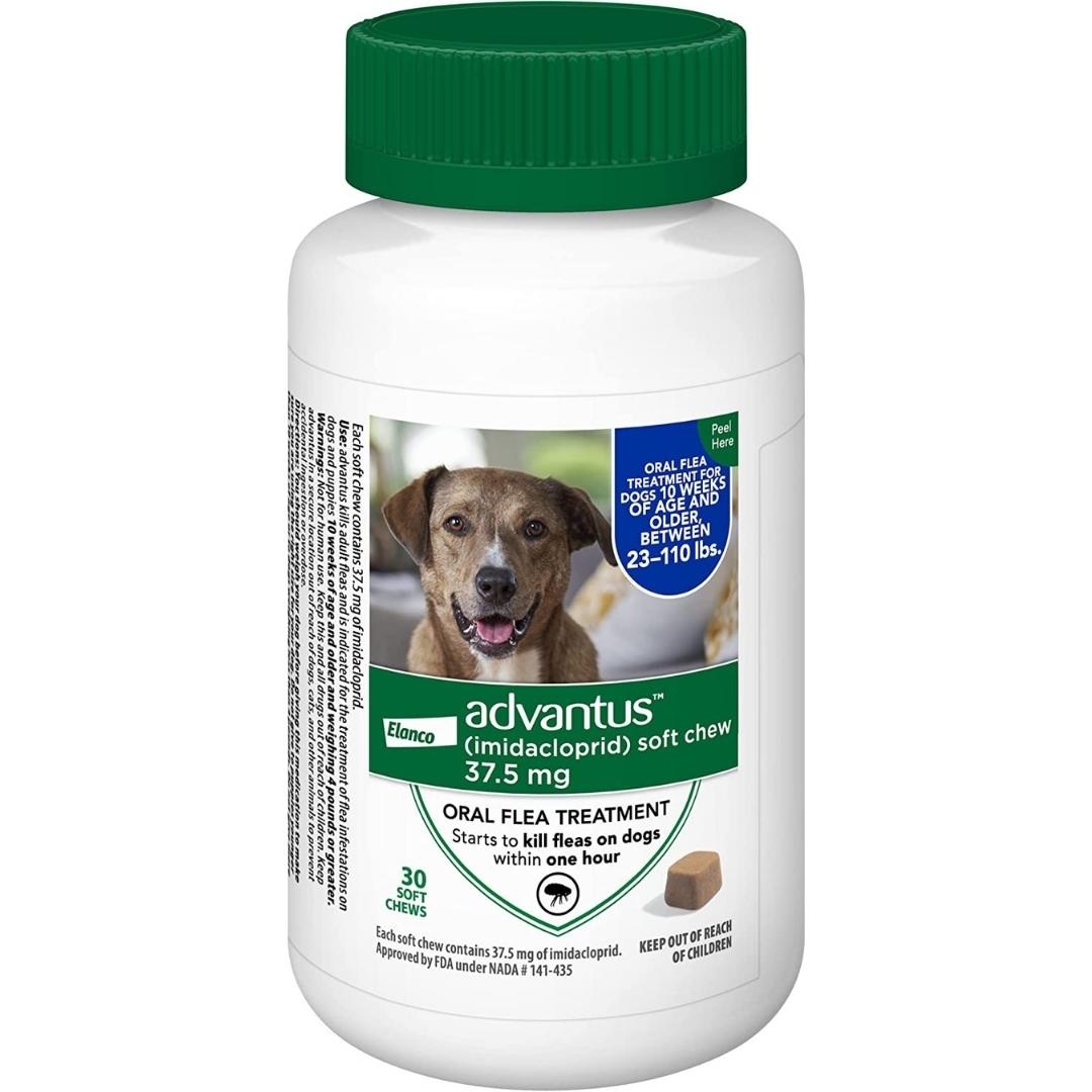 Advantus Dog Large 37.5Mg Soft Chew 30Ct - Pets Perfect
