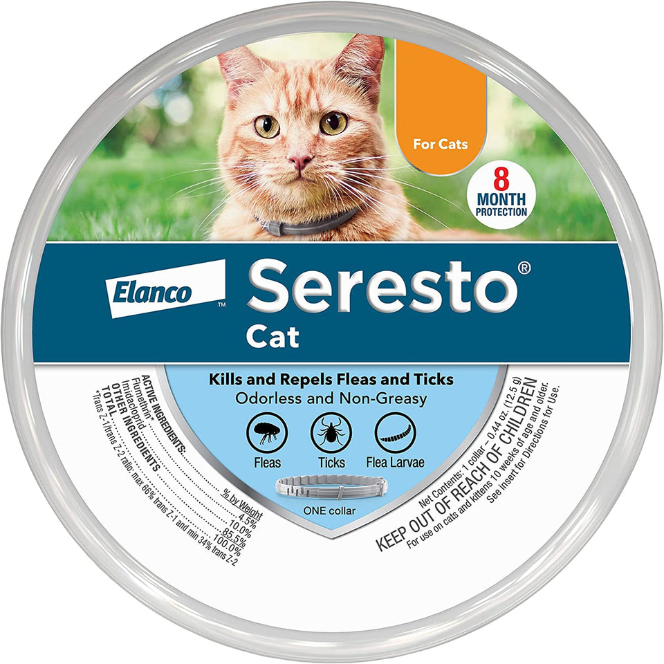 Bayer Cat Seretso Small 6-36 8 Month Cat Collar