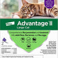 Advantage II Cat Large Purple 2 - Pack - Pets Perfect