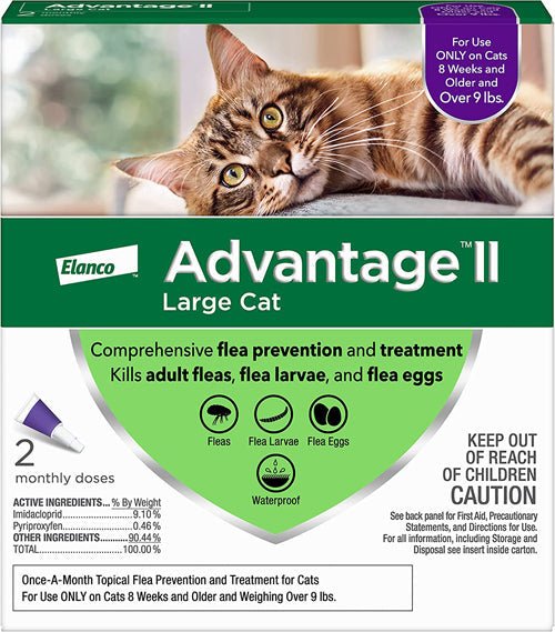 Advantage II Cat Large Purple 2 - Pack - Pets Perfect
