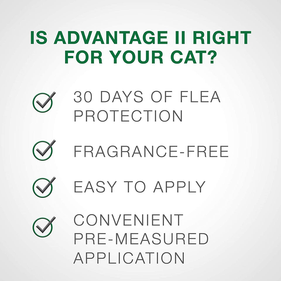 Advantage II Cat Large Purple 2 ct