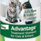 Advantage Cat Treatment Shampoo 8oz - Pets Perfect