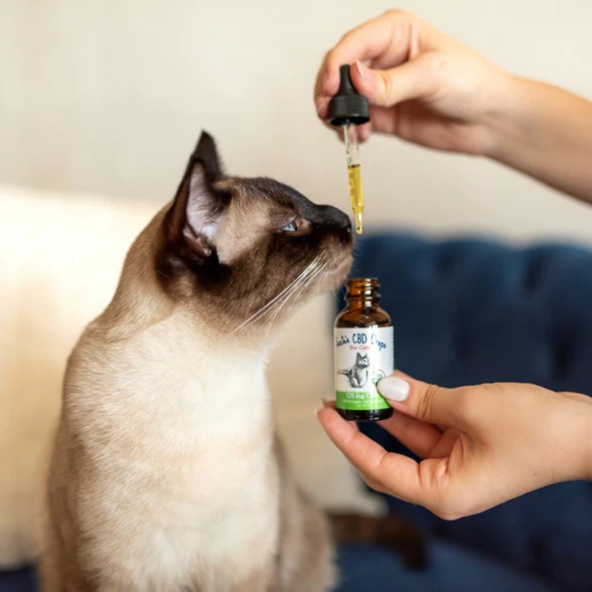 Suzie'S Drops For Cats 1oz. - 125 Mg - Pets Perfect