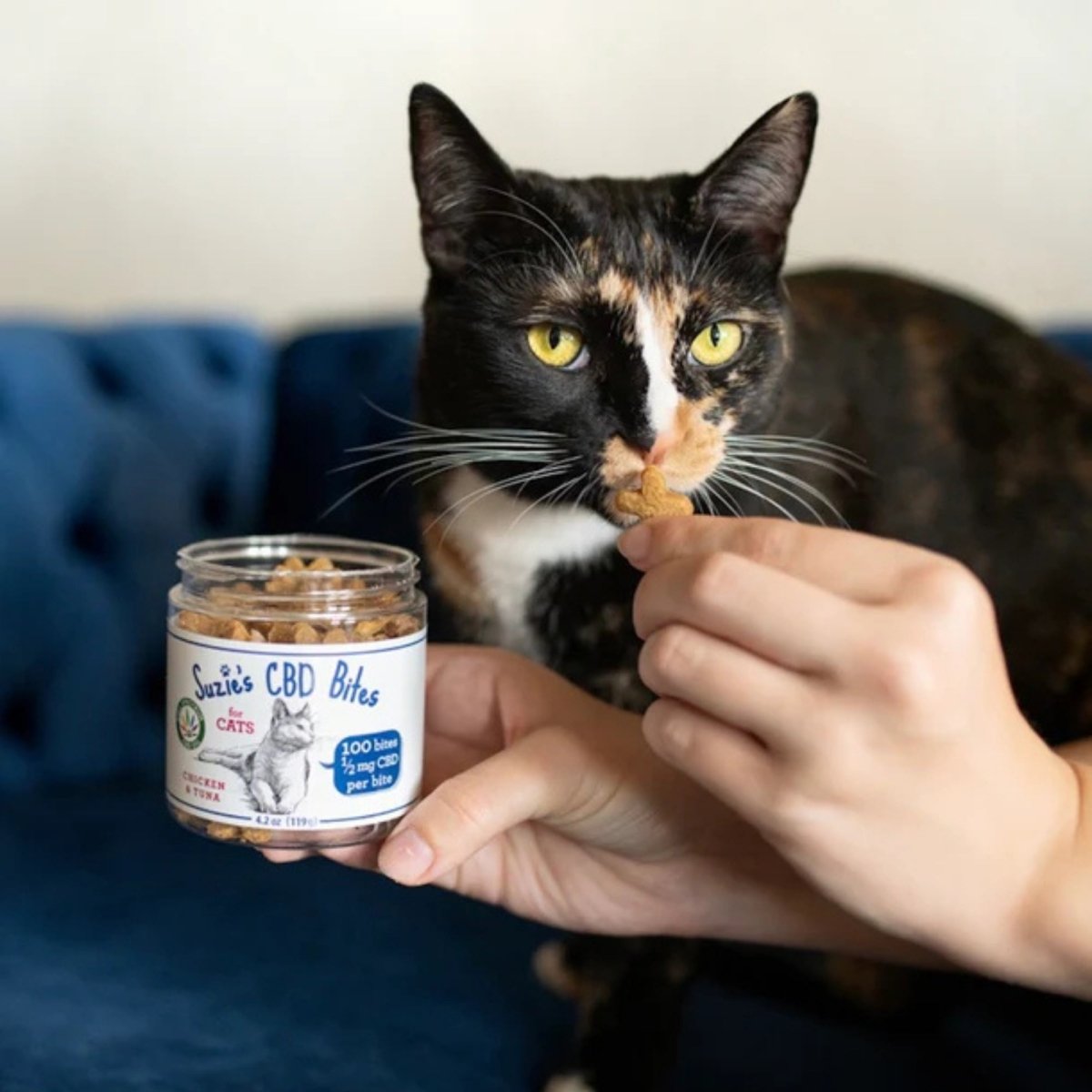 Suzie'S Bites For Cats Chicken/Tuna 4.2oz. - .5 Mg - Pets Perfect