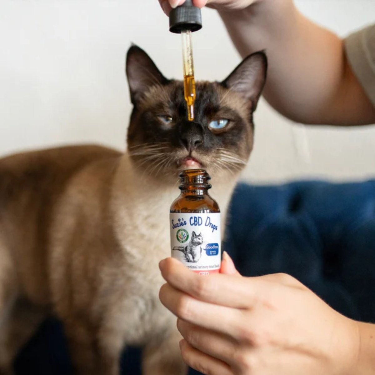 Suzie'S Goodbye Uti Drops For Cats 1oz. - 200 Mg - Pets Perfect