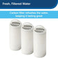 PetSafe Dog & Cat Drinkwell Replacement Carbon 360 Filter - 3 ct, view 4