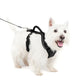 Petsafe Dog Easy Sport Harness Black Small