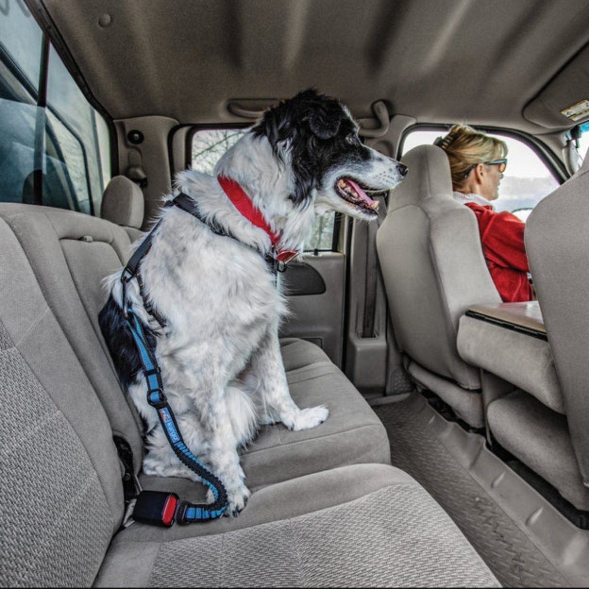 Kurgo Dog Seat Belt Bungee Tether - Pets Perfect