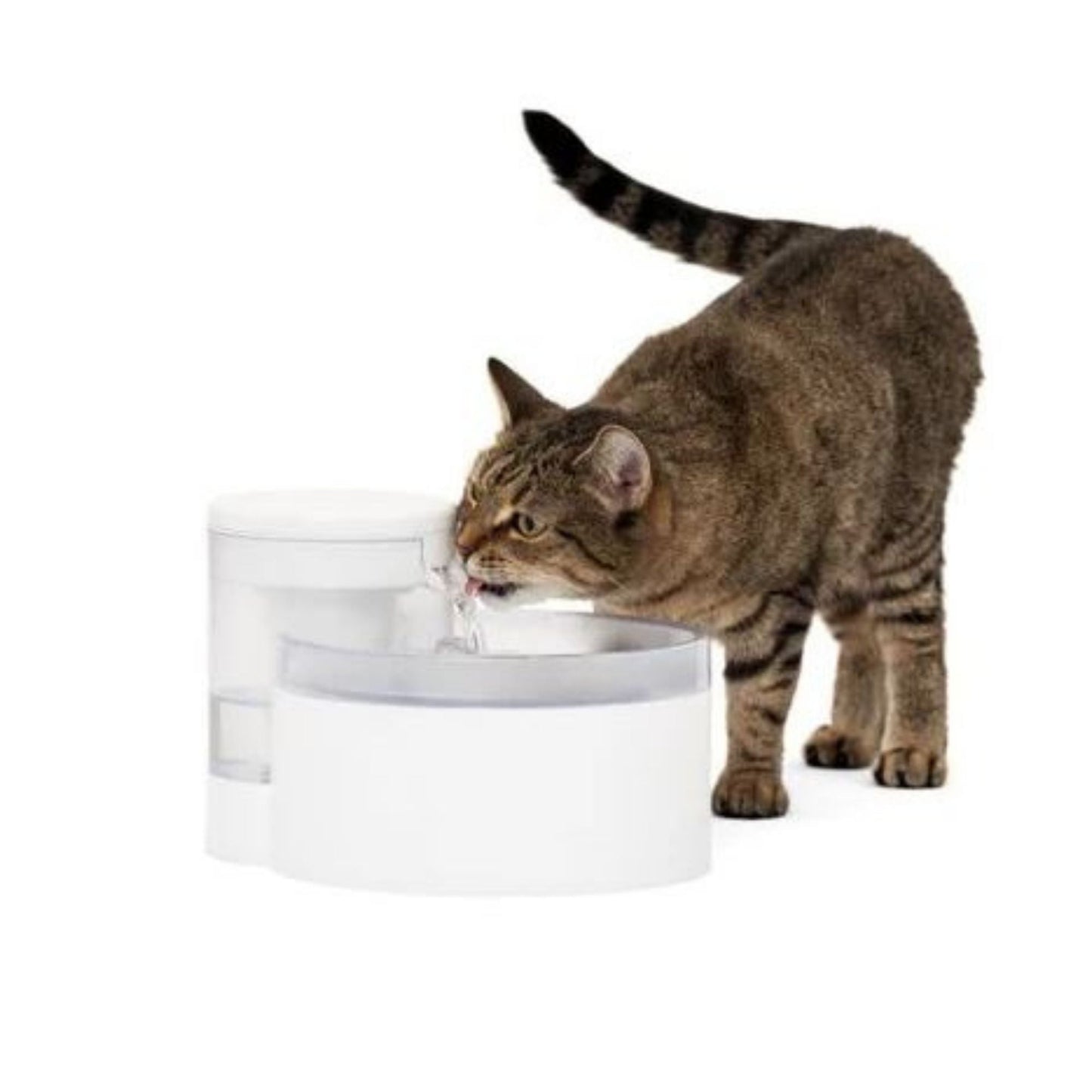PetSafe Dog & Cat Outlast Pumpless Fountain 90 oz, view 2
