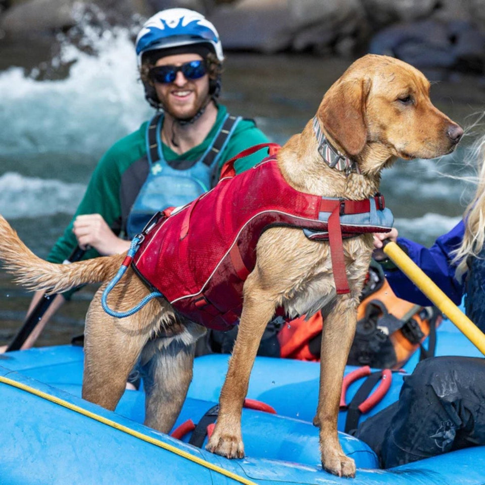 Kurgo Surf 'n Turf Dog Life Jacket - Yellow, X-Small, view 2