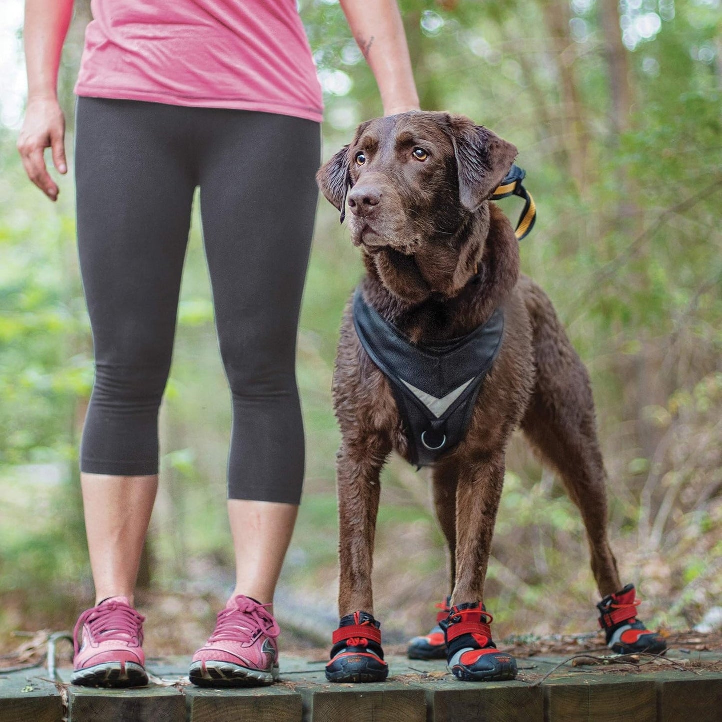 Kurgo Dog Blaze Boots Black & Red Medium 2 Pack