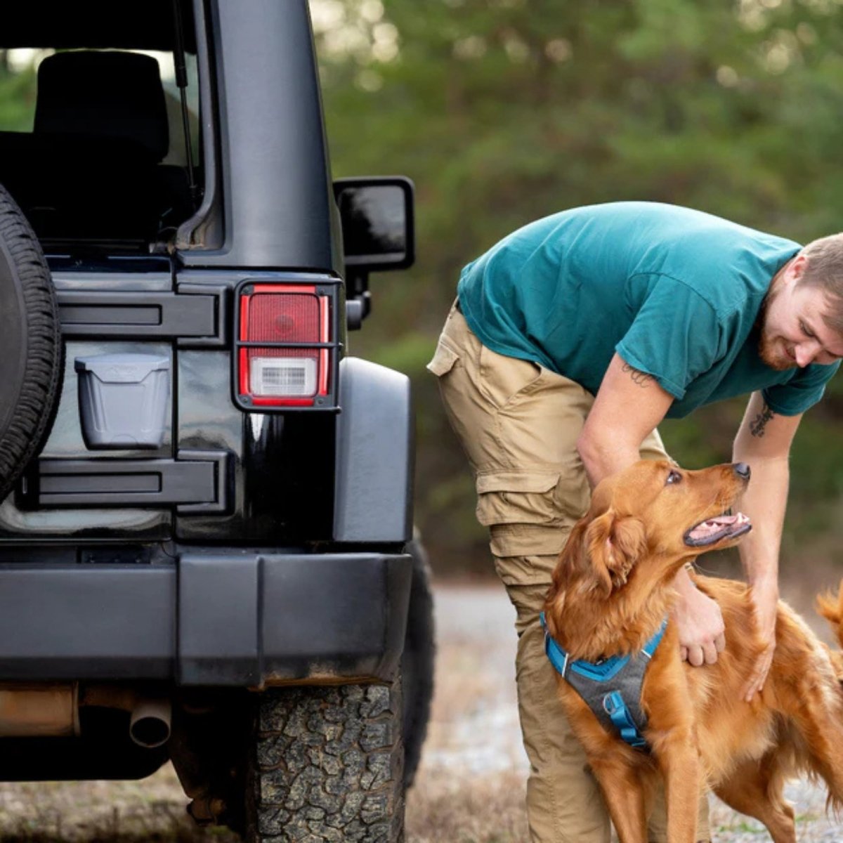 Kurgo Dog Tailgate Dumpster - Pets Perfect