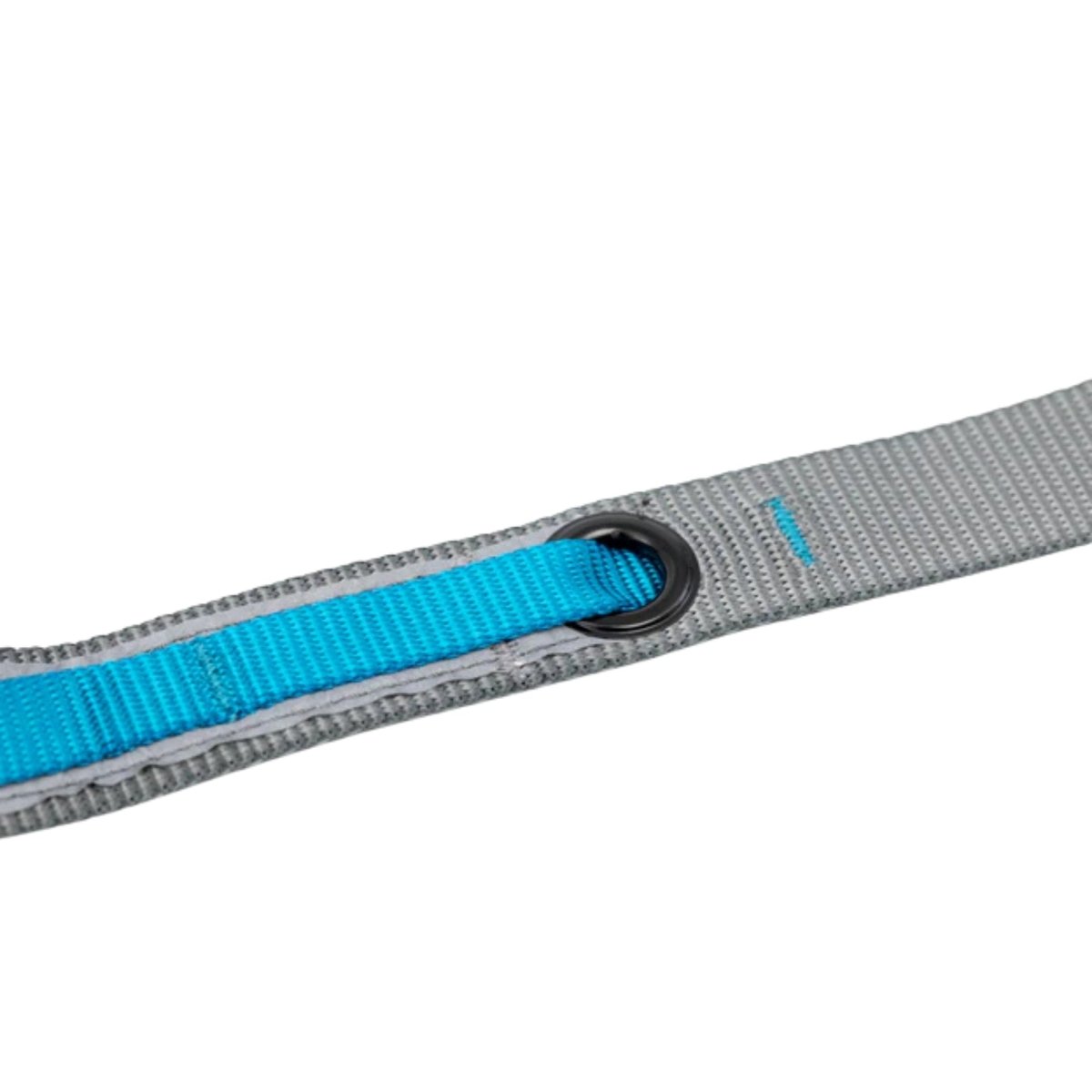 Kurgo Dog Quantum Leash Blue - Pets Perfect