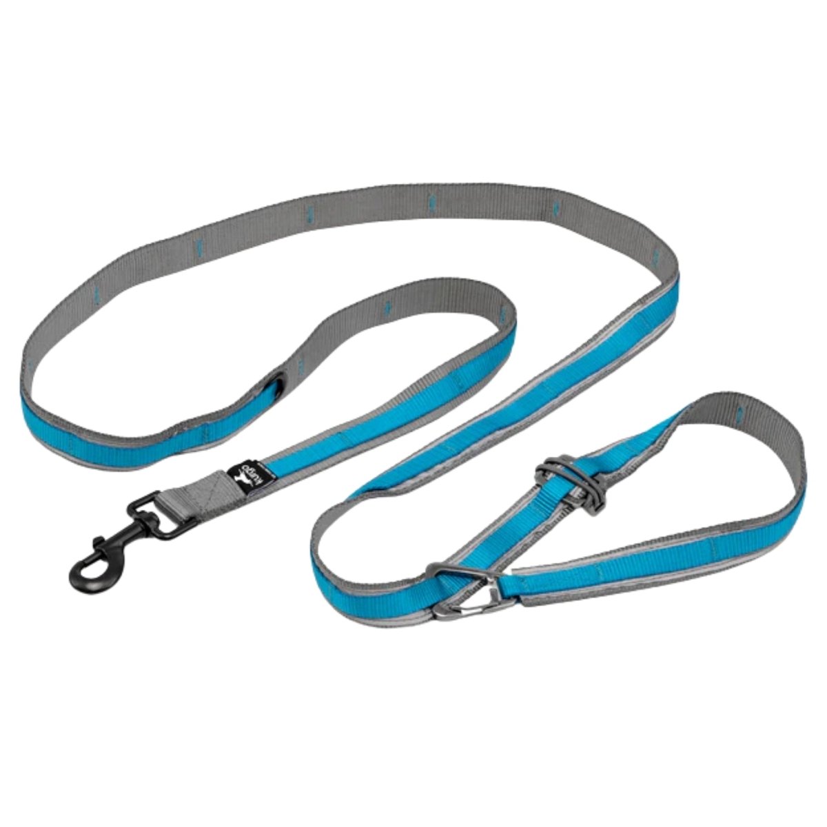 Kurgo Dog Quantum Leash Blue - Pets Perfect