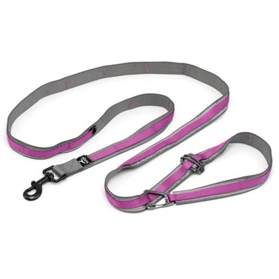 Kurgo Dog Quantum Dog Leash Violet