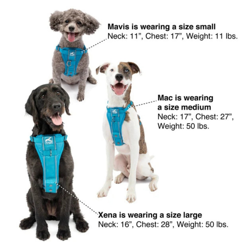 Kurgo Dog Tru Fit Smart Dog Harness Black Small, view 2