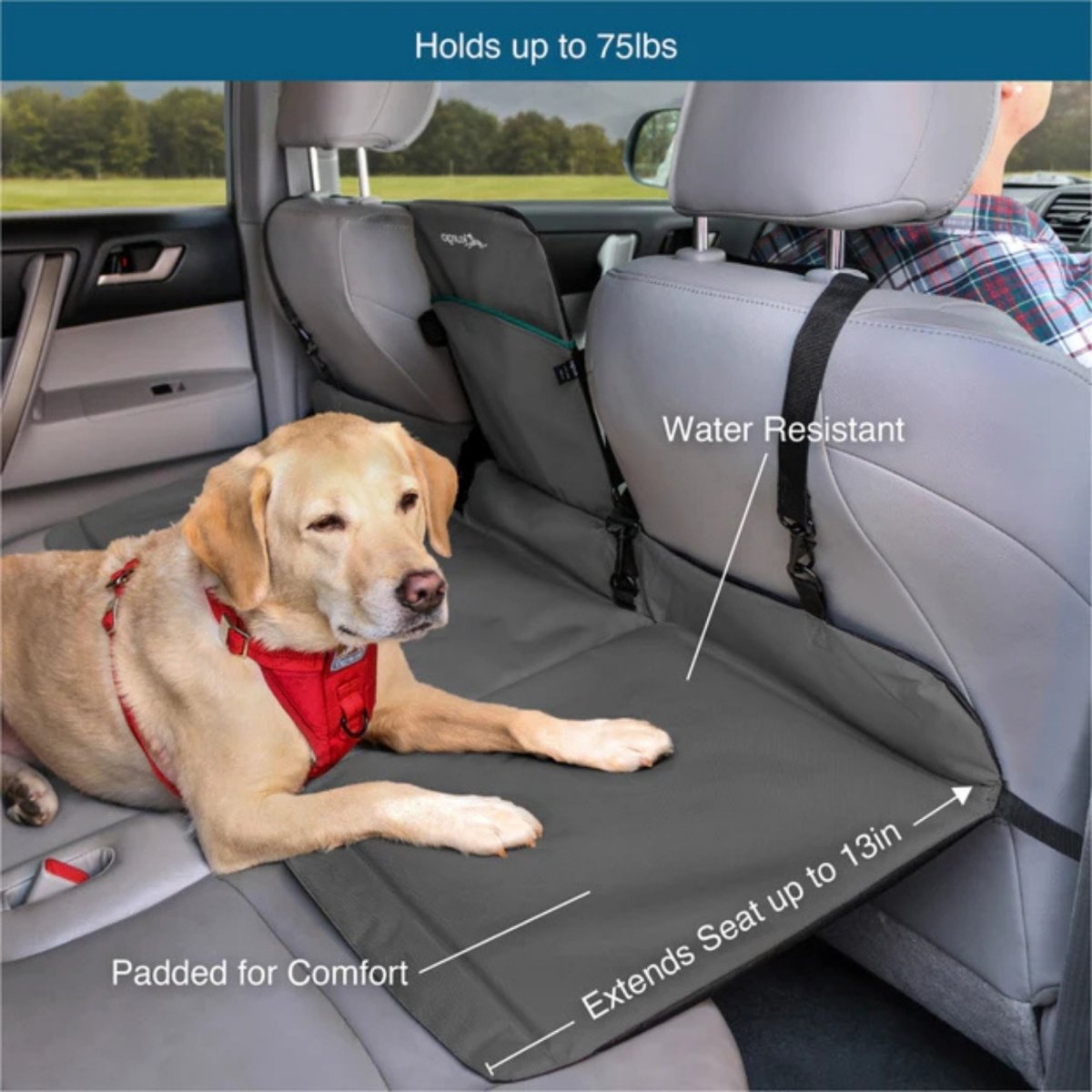 Kurgo Dog Rover Backseat Bridge Black/Charcoal - Pets Perfect