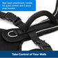 Petsafe Dog Easy Sport Harness Teal Large